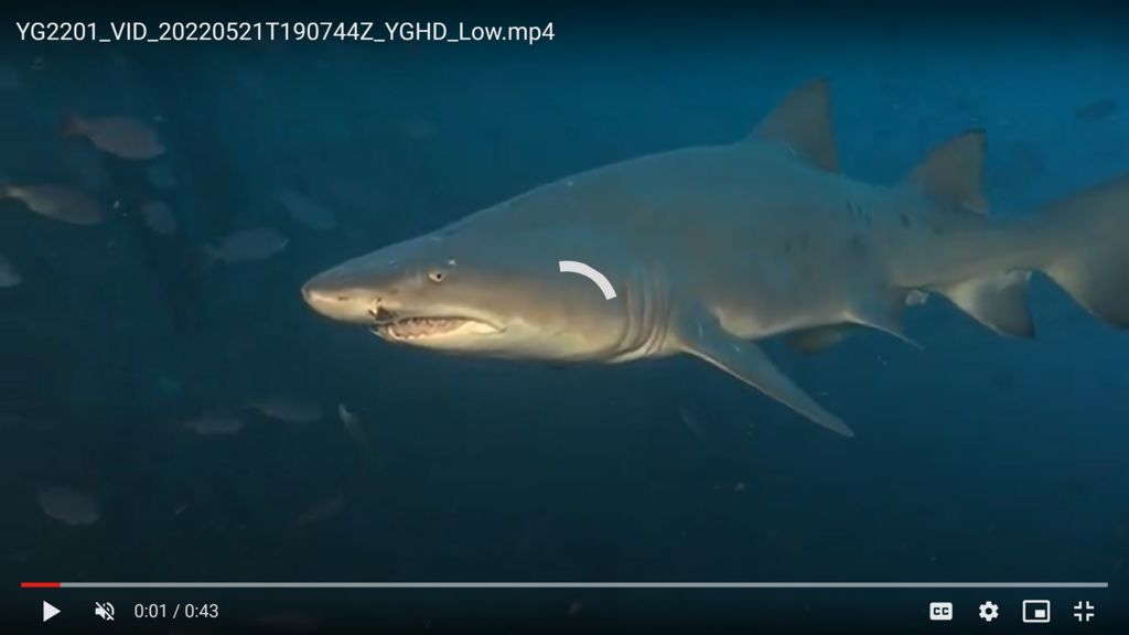 983d151e-ad1e-4b72-b2f1-d28ca7512ab5