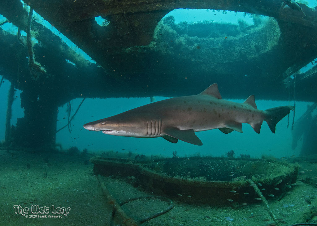 e0851279-5939-428e-86a2-0095d45ee87c