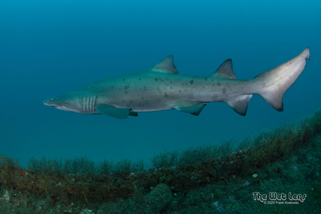 e0851279-5939-428e-86a2-0095d45ee87c