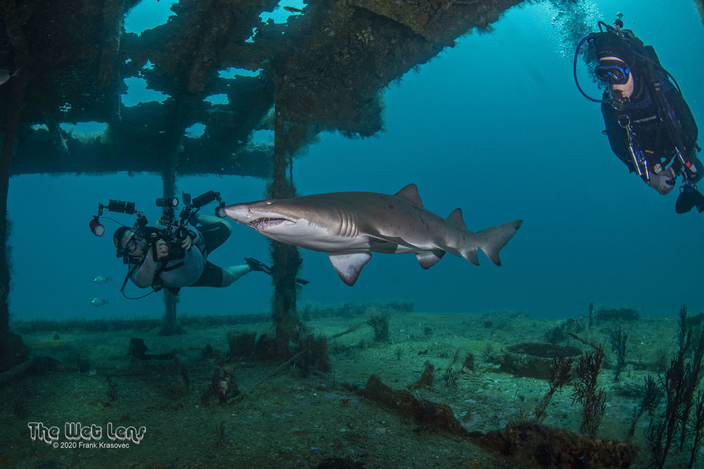 e0851279-5939-428e-86a2-0095d45ee87c