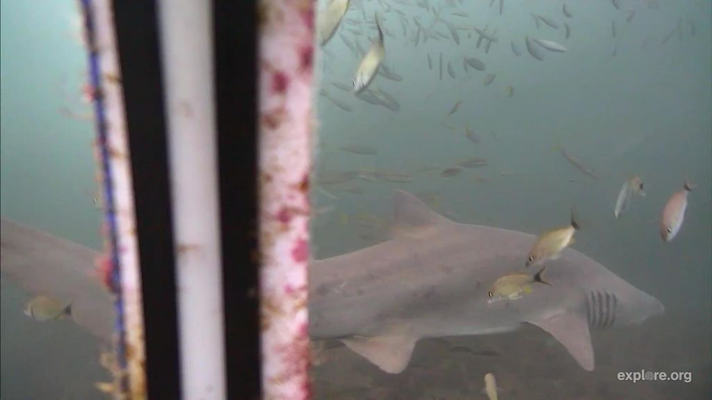 5224fb12-3dd2-45f8-b516-7208c54a1fe3