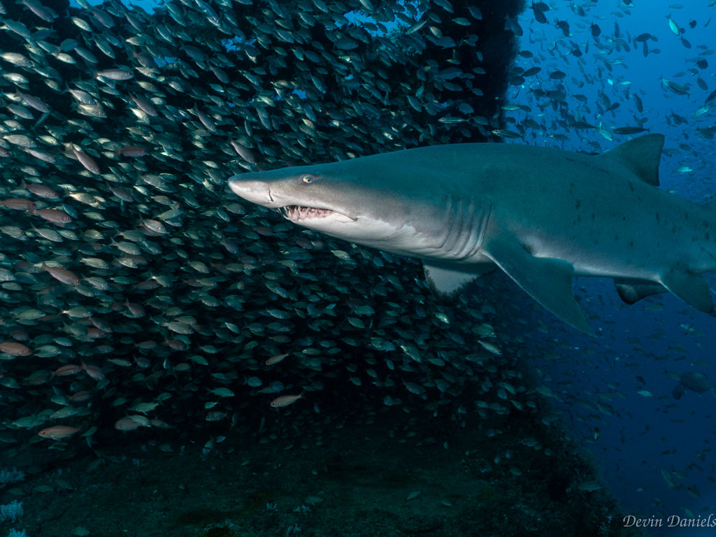 5e7f477c-85ea-4ade-84e2-cc3d4e525613