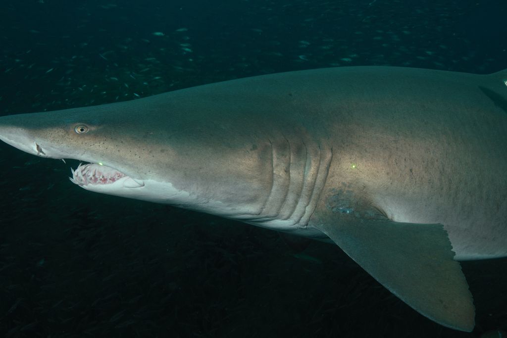 d881040b-35b5-4bc4-9b22-50e67b39755e