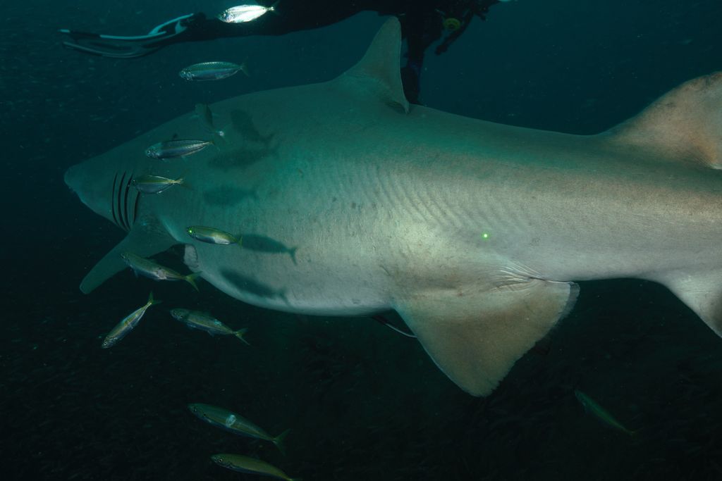 d881040b-35b5-4bc4-9b22-50e67b39755e