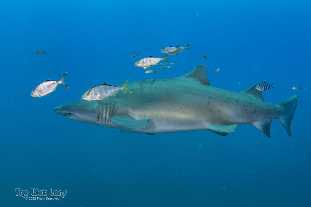 5715d85b-deed-4454-85f9-56ed1033e4af