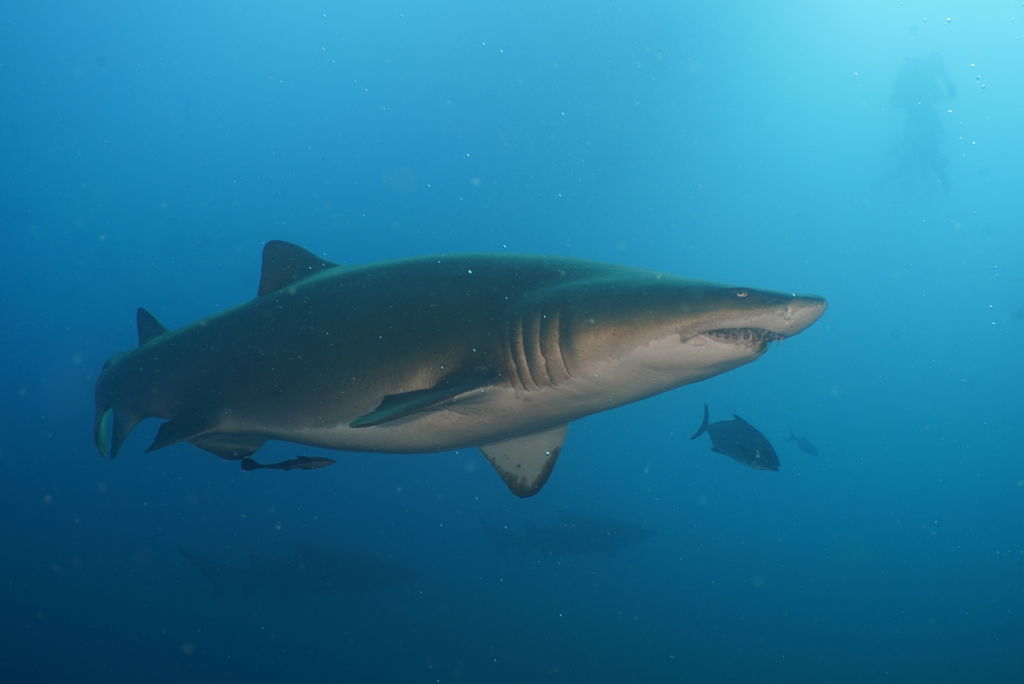 f2fca48e-cfee-483c-81a6-9d0c7ad9c37a