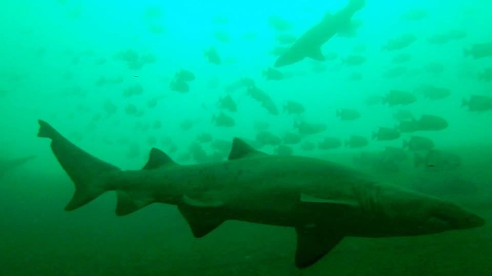 9ec7e310-85a1-4836-9174-58a536338186