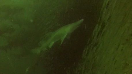 9ec7e310-85a1-4836-9174-58a536338186