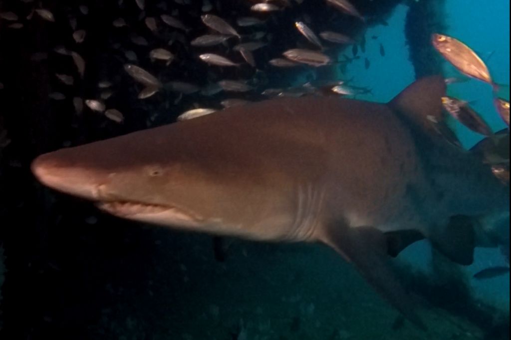 acdc507d-90cd-4c2d-b05a-4583c217418a