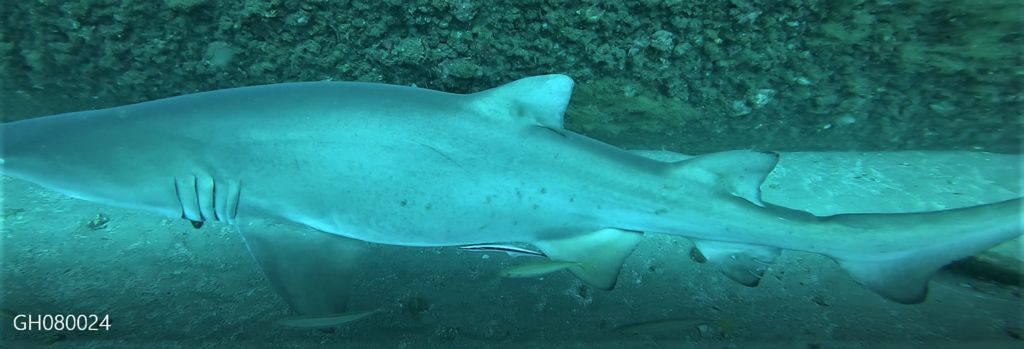 411a1202-7b1b-41a3-936c-7a7e94793d8f