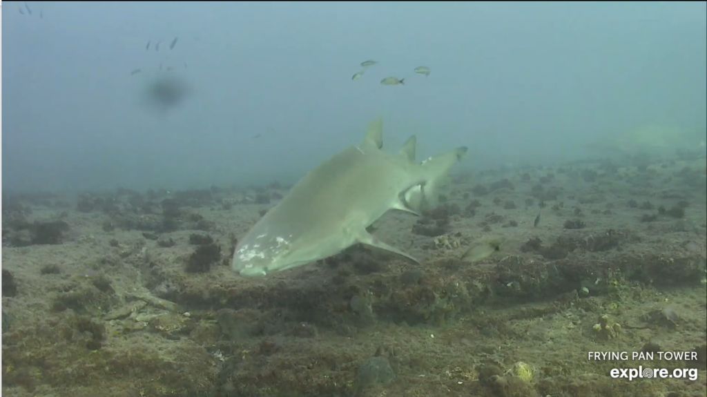 d9028ba8-067c-40c0-8f3e-a98b20b98aaf