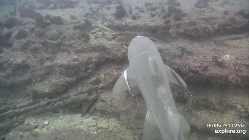 d9028ba8-067c-40c0-8f3e-a98b20b98aaf