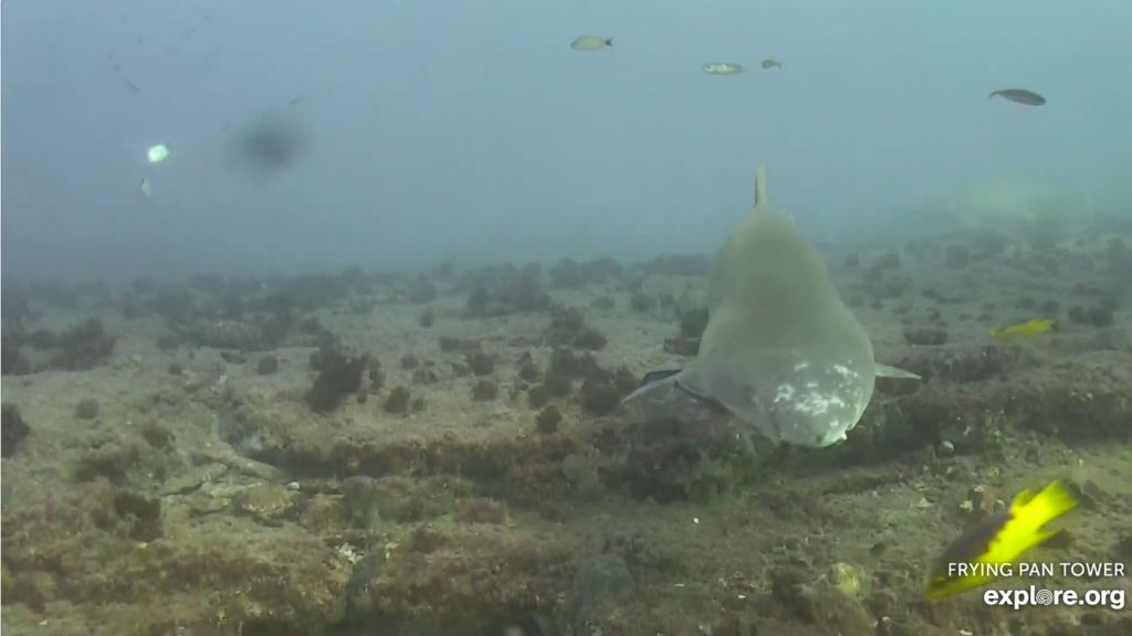 d9028ba8-067c-40c0-8f3e-a98b20b98aaf