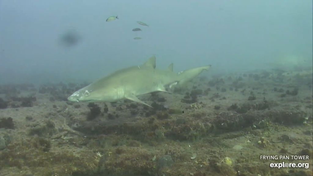 d9028ba8-067c-40c0-8f3e-a98b20b98aaf