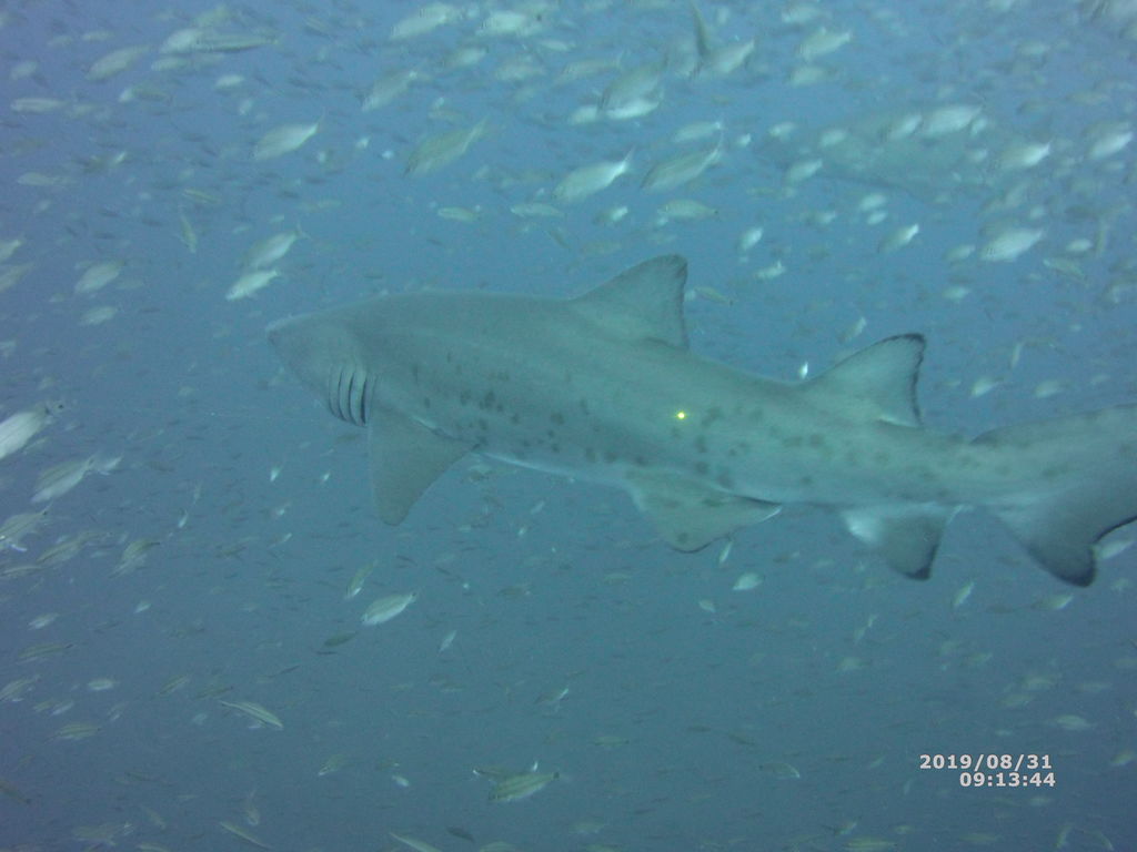 ca43cd3c-f281-4bf4-b7e5-d670f9283835