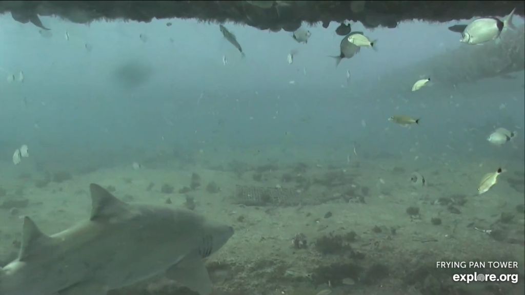 b7ed815c-64e5-47fa-b89f-de5a93688723