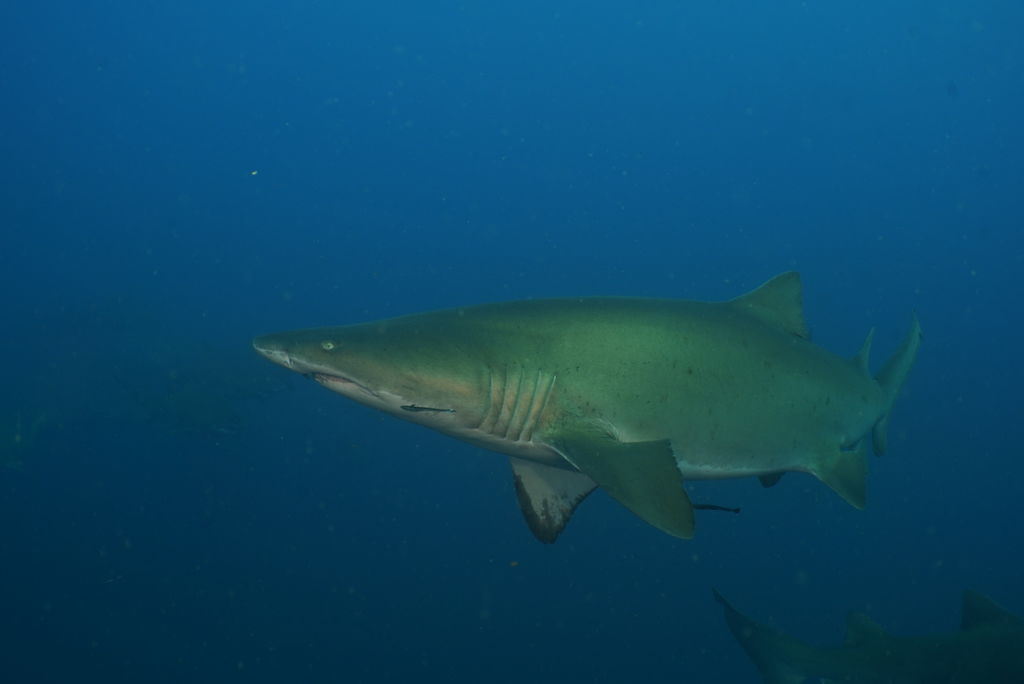 7b6bb9a4-6698-4e35-841a-fb66928453c4