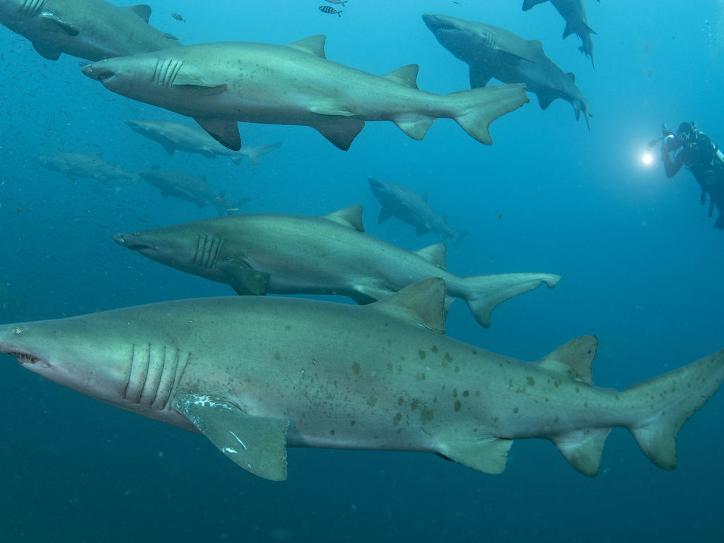 5d2bd29a-d9bc-40d7-8572-707ada87d059