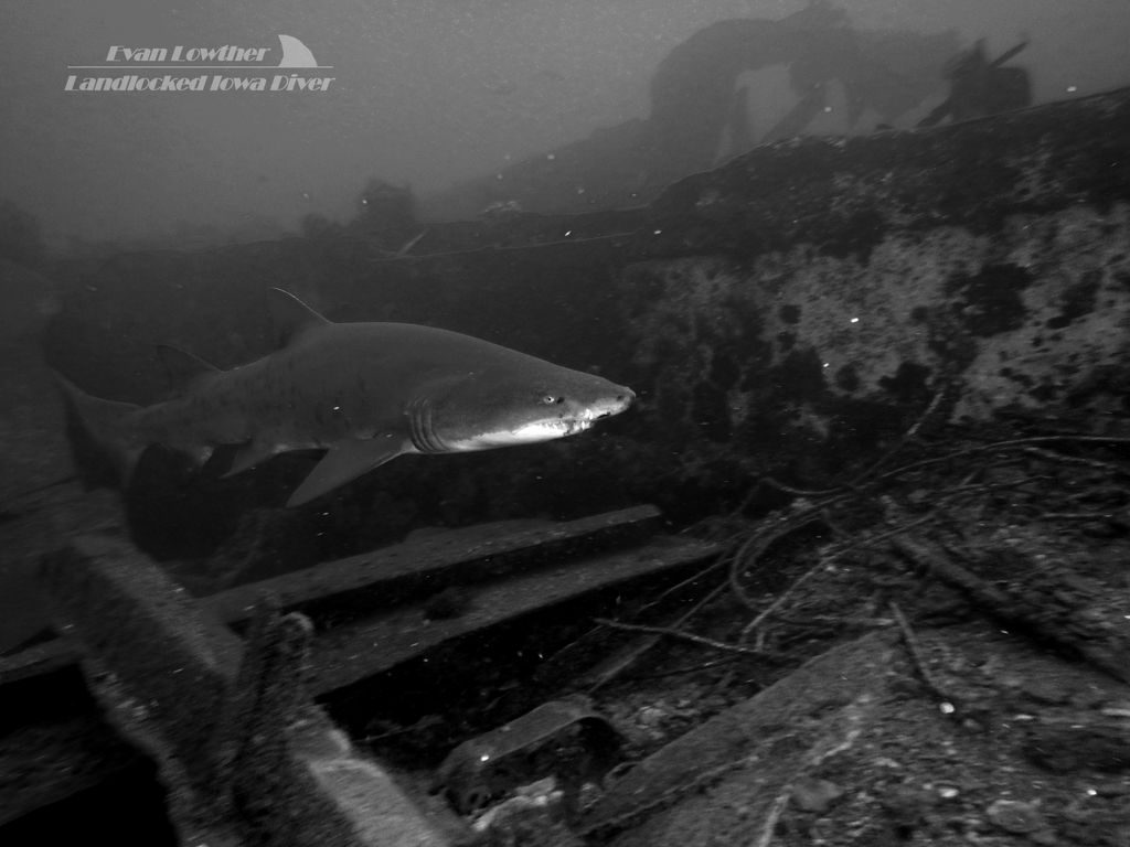 81da5816-4c47-41d0-893b-1db674cdf4c5