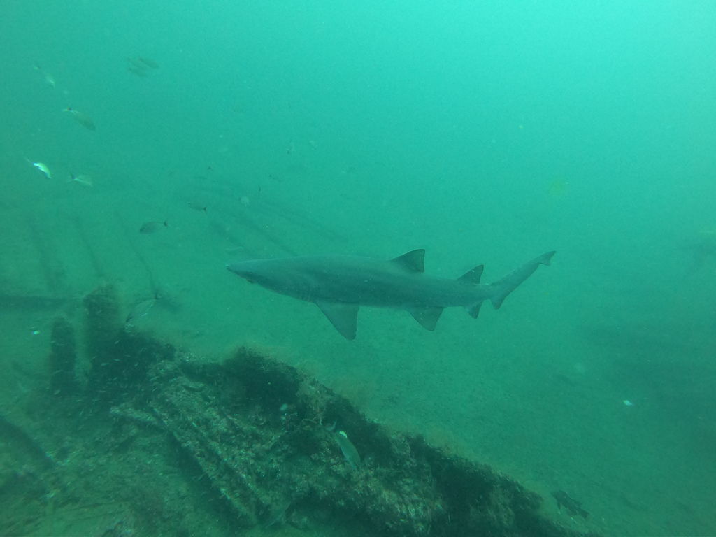 e980dbac-a0a6-4b41-b291-1d9f49995eb4