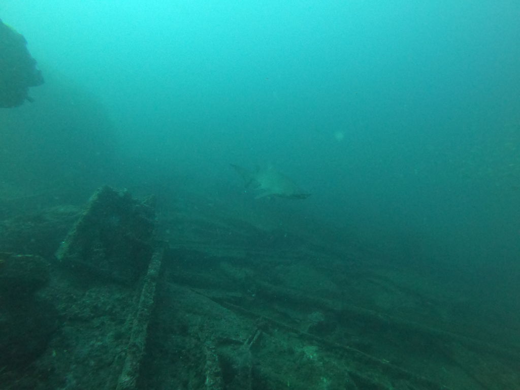 e980dbac-a0a6-4b41-b291-1d9f49995eb4