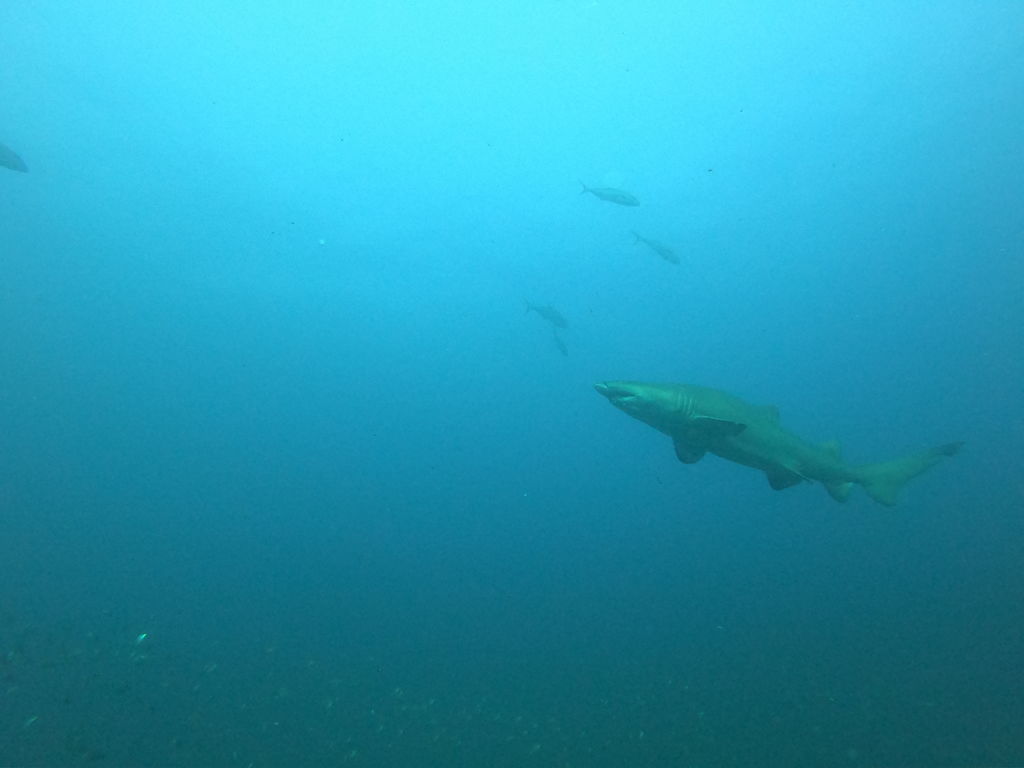 e980dbac-a0a6-4b41-b291-1d9f49995eb4