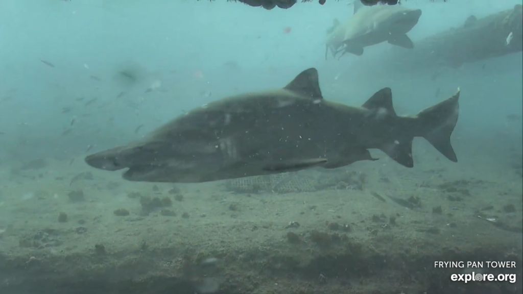 c178a0f2-498c-49fb-b120-c0cda3ee74af