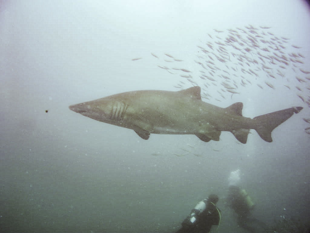 101f1ece-888a-4c72-b422-a62415169146