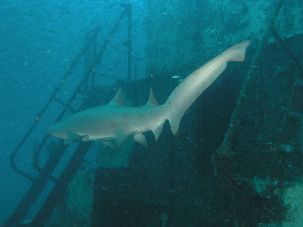 160352ea-ff0b-4796-afd7-b813a6e9aece