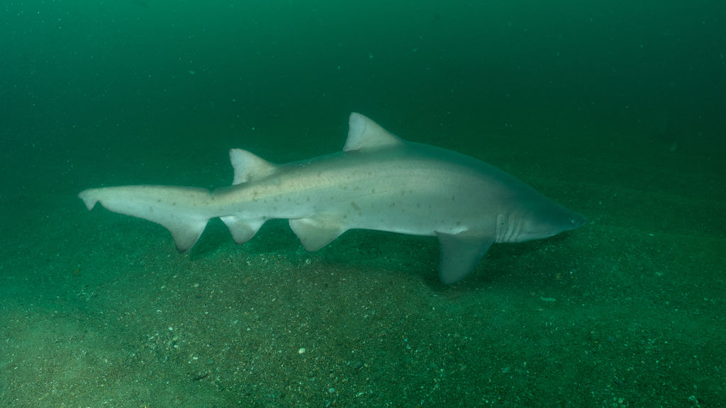 0b49e46c-3f1e-4472-91ae-80213214d8c8