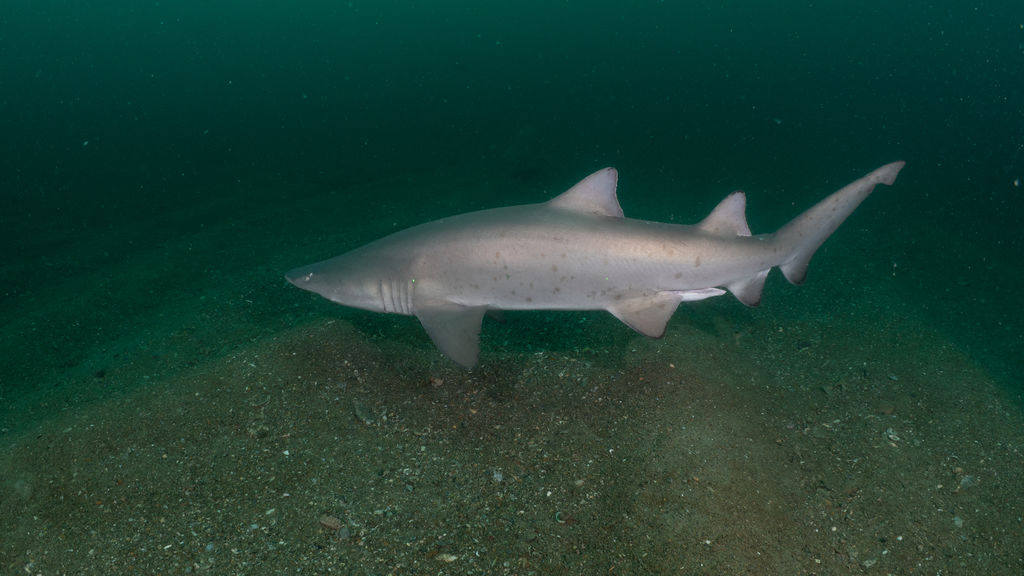 a30f2ab9-531a-42bf-854a-7d00d1ee9c53