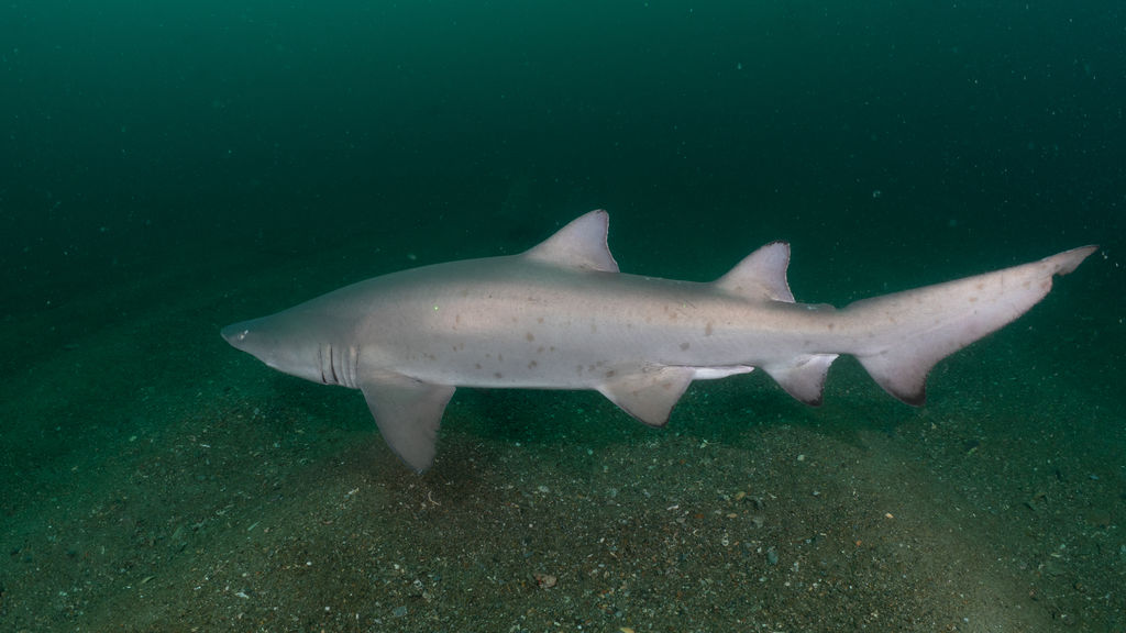 a30f2ab9-531a-42bf-854a-7d00d1ee9c53