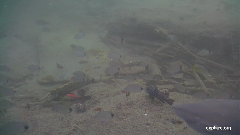 e1385574-6613-4ca5-8746-0832eabbb68e