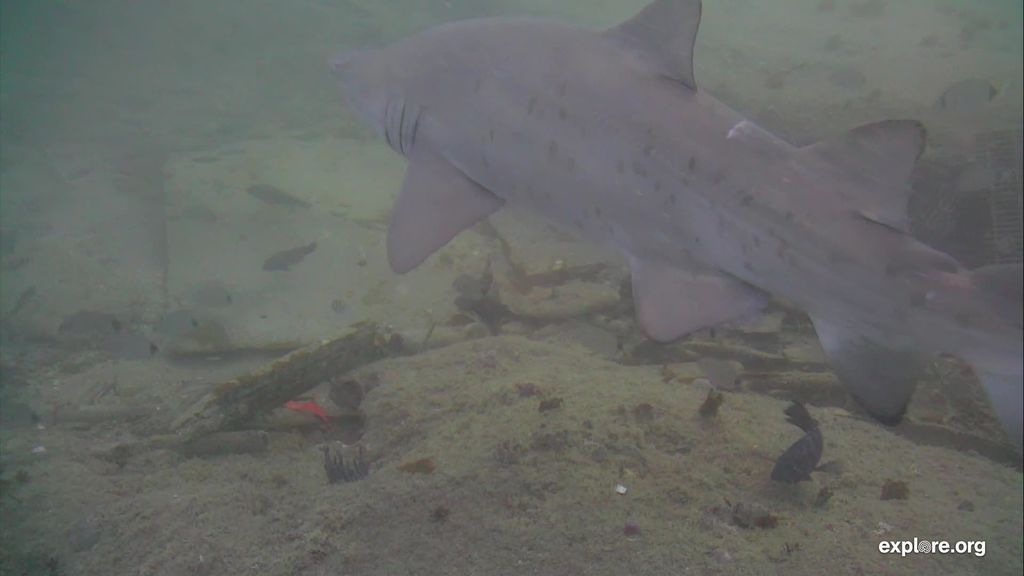 e1385574-6613-4ca5-8746-0832eabbb68e