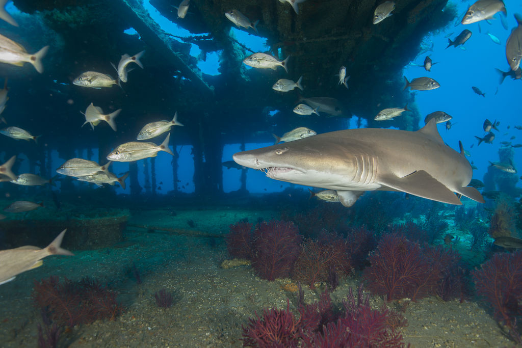 3edba64d-95ec-4fd1-97c6-e279979c1ad2