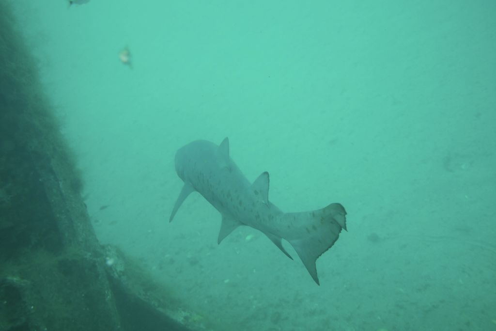 84d47ca2-fb79-444c-99b7-da7a68aa72de