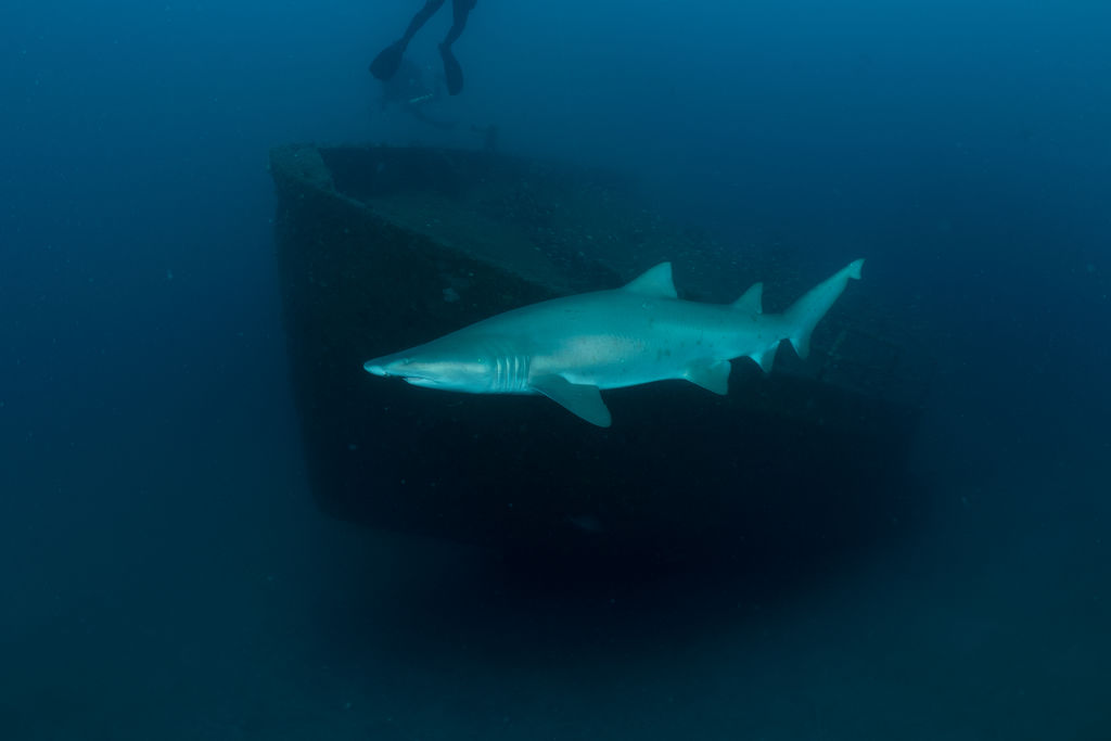 ced322af-40e0-40c8-8dee-ac73c0365700