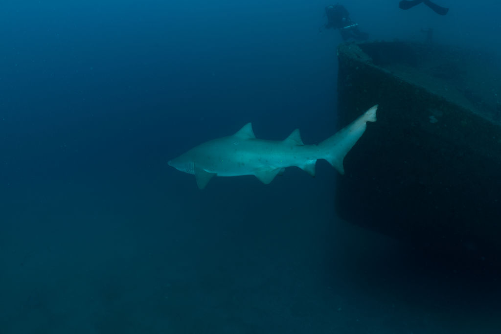 ced322af-40e0-40c8-8dee-ac73c0365700