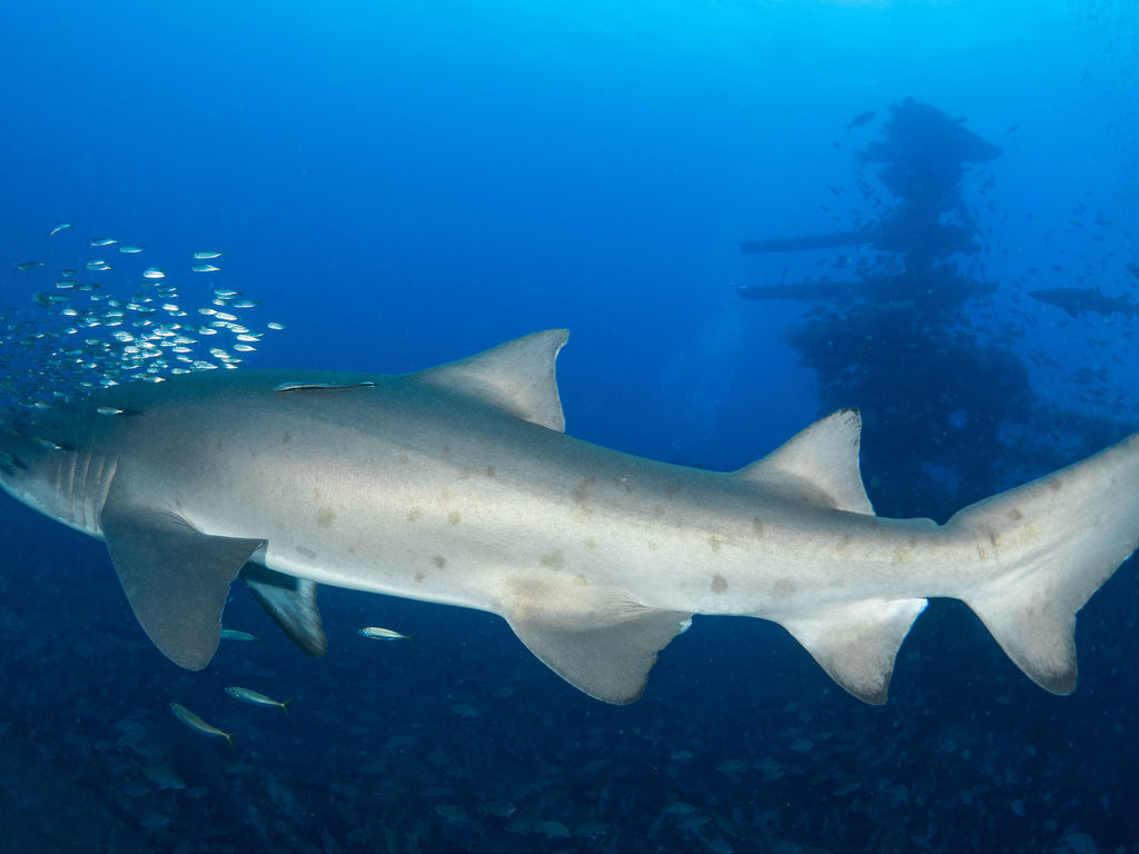 260ab69d-1380-4c6b-9d8a-3de9c824ee7b