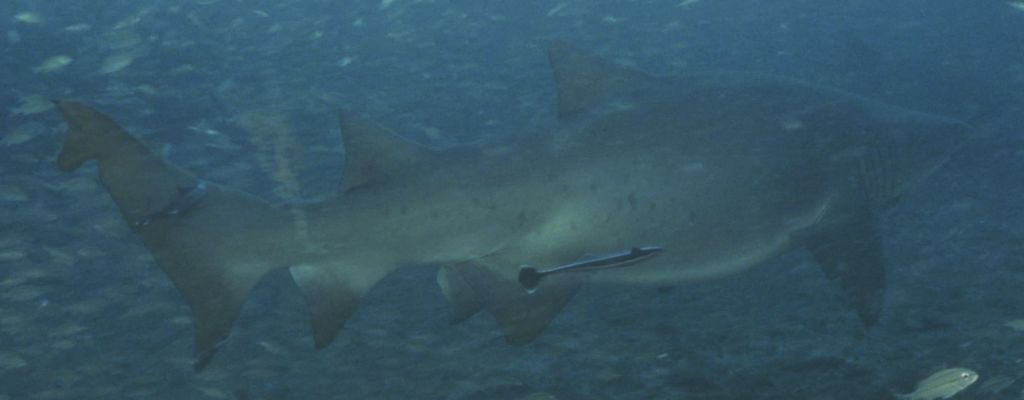 50df049f-4950-4d1a-b95d-49b0d1088a10