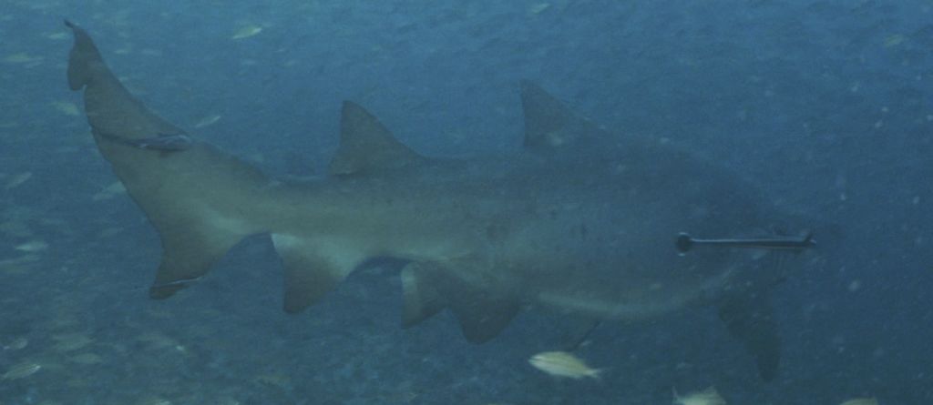 50df049f-4950-4d1a-b95d-49b0d1088a10