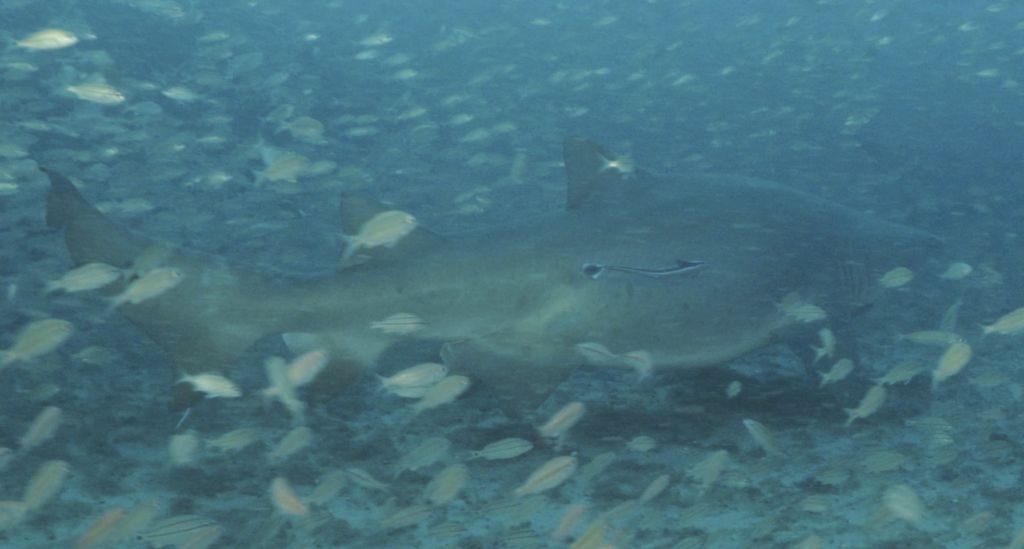 50df049f-4950-4d1a-b95d-49b0d1088a10