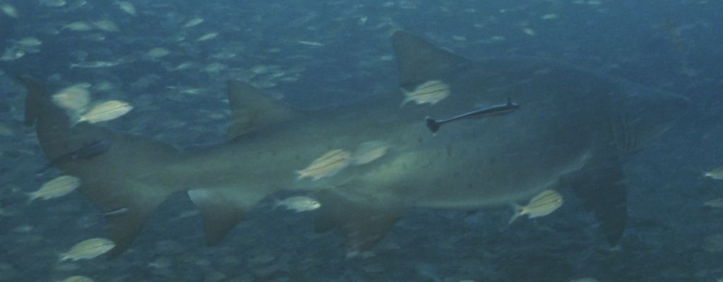 50df049f-4950-4d1a-b95d-49b0d1088a10