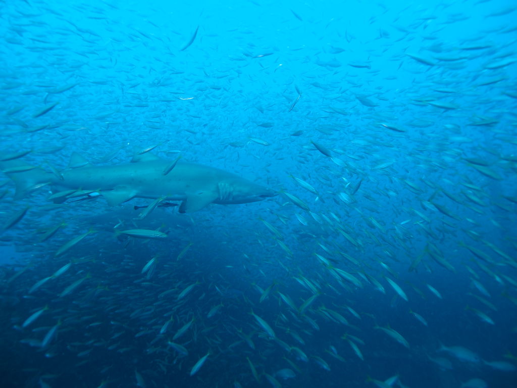 d2e480b3-b2cb-45e4-881b-6164a77587ed