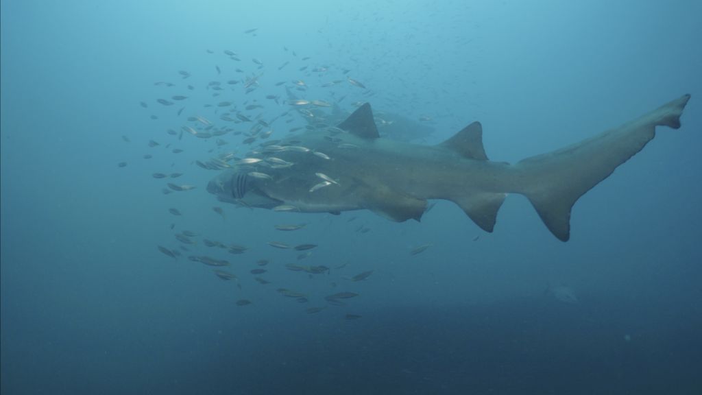 1939c3e6-6f93-4815-aea8-18be6346bec0