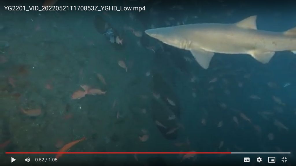 c8e17968-2c23-48b0-a567-e95d9a434802