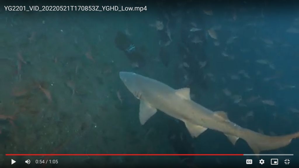 c8e17968-2c23-48b0-a567-e95d9a434802