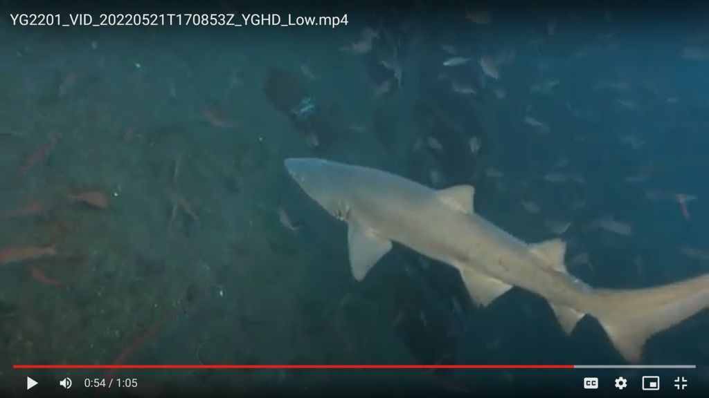 c8e17968-2c23-48b0-a567-e95d9a434802