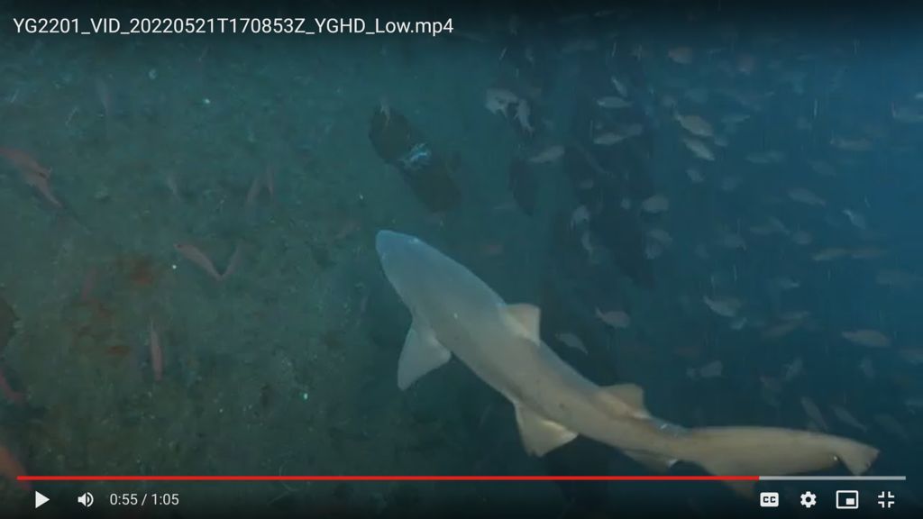 c8e17968-2c23-48b0-a567-e95d9a434802