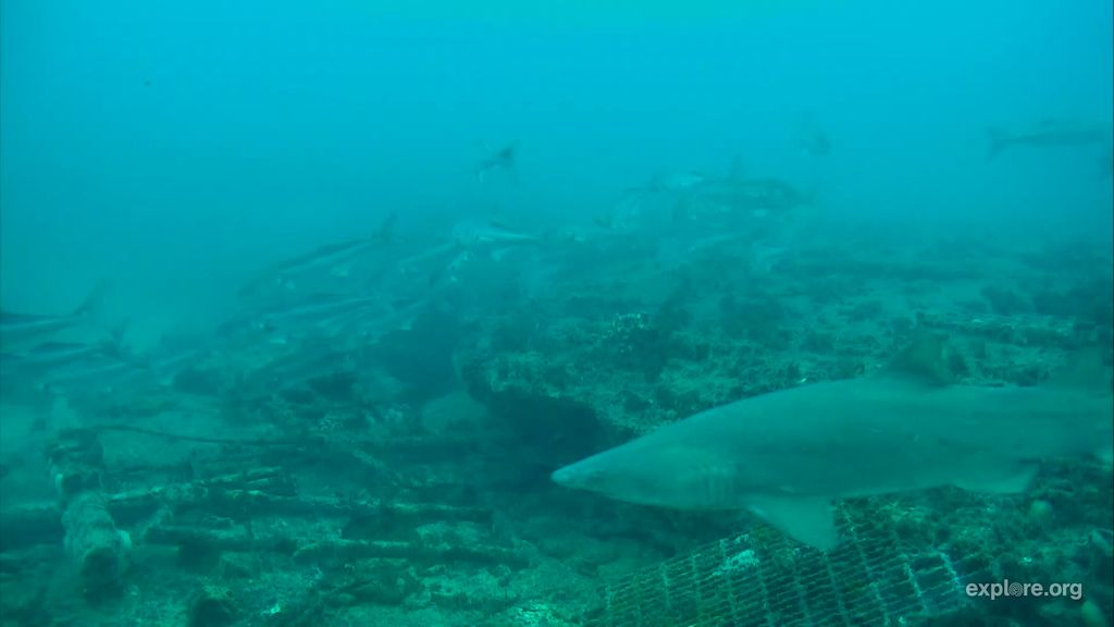 b8cd0e8c-59a8-4d58-bcd7-b8446b92957c